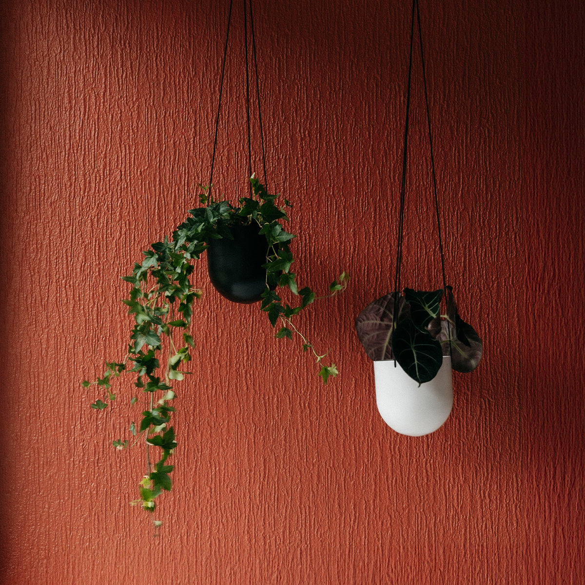 flat back hanging planter Duo hanging planter, black
