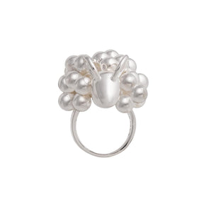Pässi ring, silver